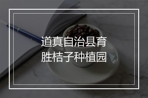 道真自治县育胜桔子种植园