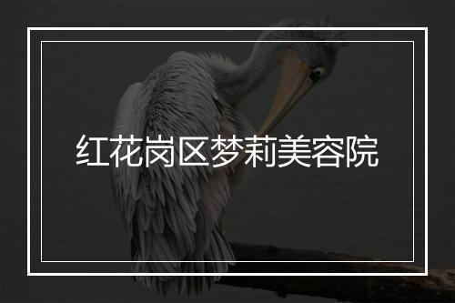 红花岗区梦莉美容院