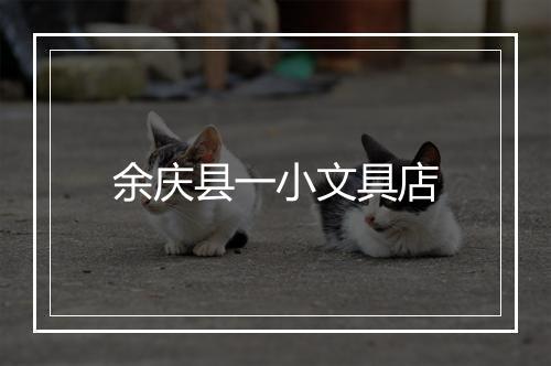 余庆县一小文具店