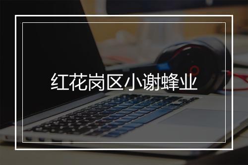 红花岗区小谢蜂业