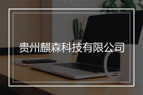 贵州麒森科技有限公司