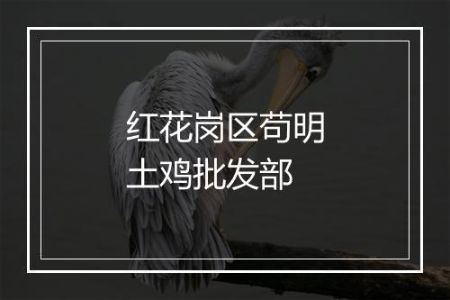 红花岗区苟明土鸡批发部