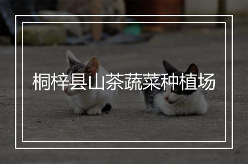 桐梓县山茶蔬菜种植场