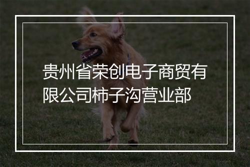 贵州省荣创电子商贸有限公司柿子沟营业部