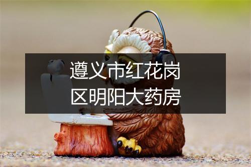 遵义市红花岗区明阳大药房
