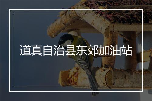 道真自治县东郊加油站