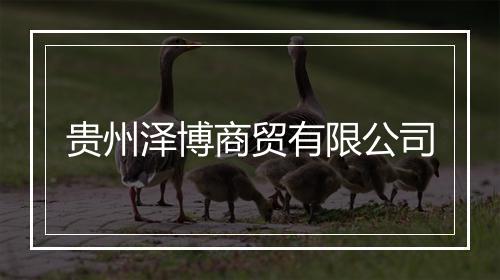 贵州泽博商贸有限公司