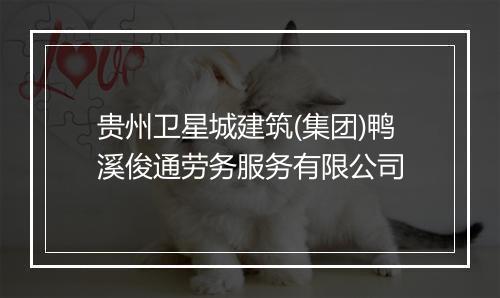 贵州卫星城建筑(集团)鸭溪俊通劳务服务有限公司