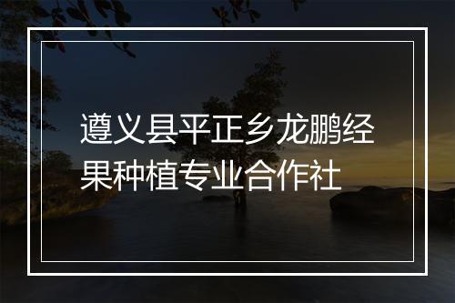 遵义县平正乡龙鹏经果种植专业合作社