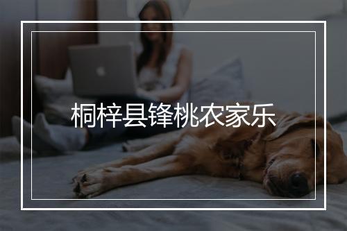 桐梓县锋桃农家乐