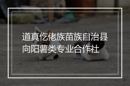 道真仡佬族苗族自治县向阳薯类专业合作社