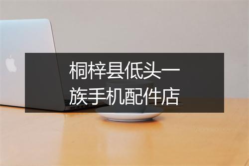 桐梓县低头一族手机配件店