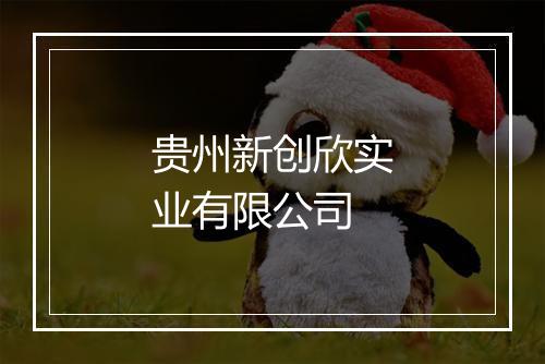 贵州新创欣实业有限公司