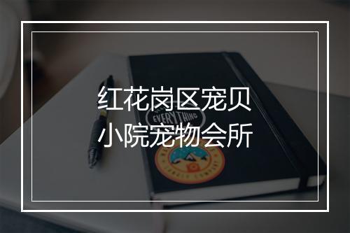 红花岗区宠贝小院宠物会所