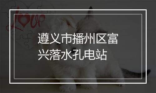 遵义市播州区富兴落水孔电站