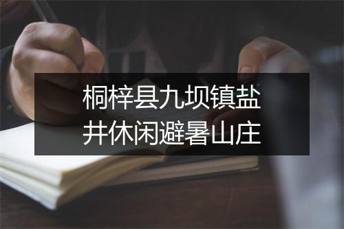 桐梓县九坝镇盐井休闲避暑山庄