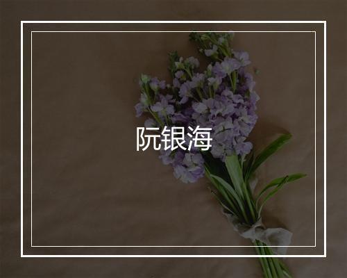 阮银海