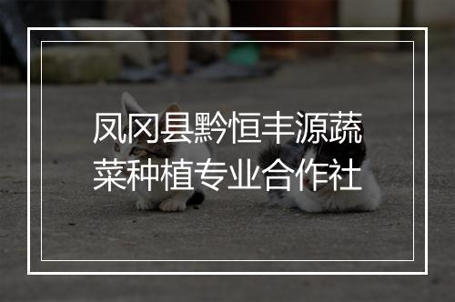 凤冈县黔恒丰源蔬菜种植专业合作社