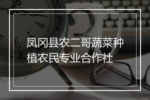 凤冈县农二哥蔬菜种植农民专业合作社