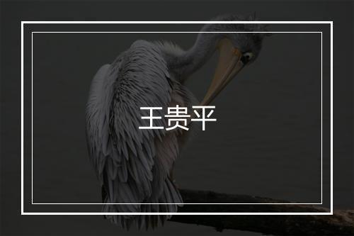 王贵平