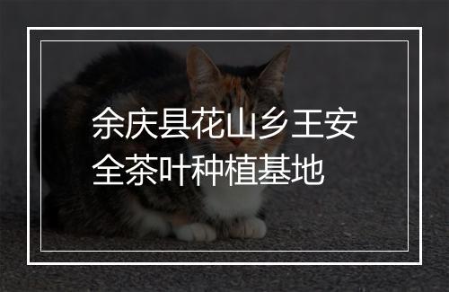 余庆县花山乡王安全茶叶种植基地