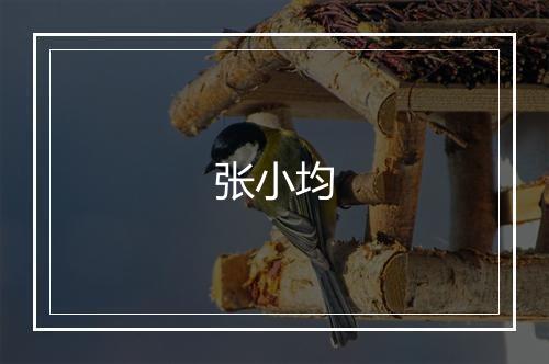 张小均