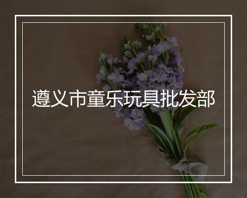 遵义市童乐玩具批发部