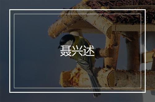 聂兴述