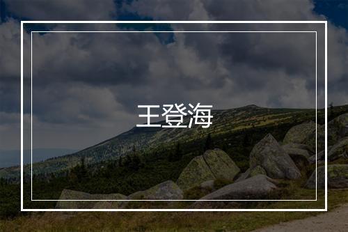 王登海