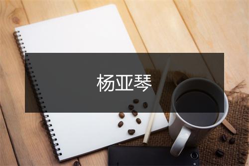 杨亚琴