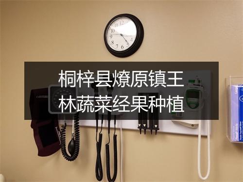 桐梓县燎原镇王林蔬菜经果种植