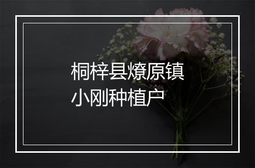 桐梓县燎原镇小刚种植户