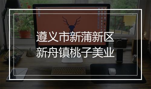 遵义市新蒲新区新舟镇桃子美业