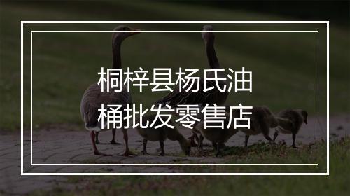 桐梓县杨氏油桶批发零售店