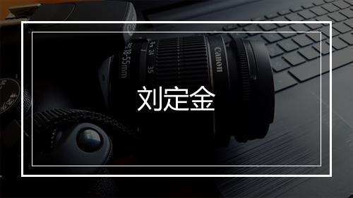 刘定金