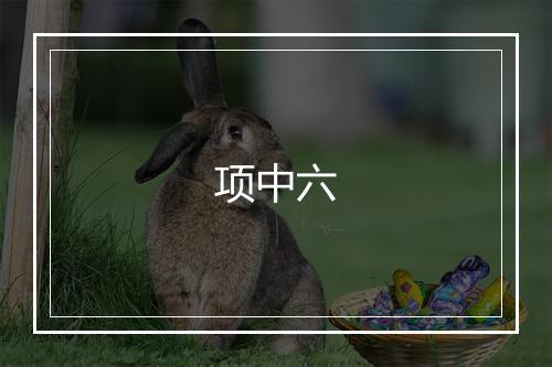 项中六