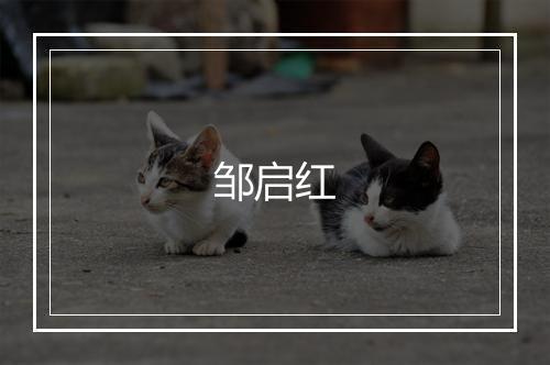 邹启红