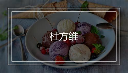 杜方维
