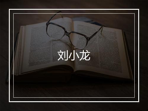 刘小龙