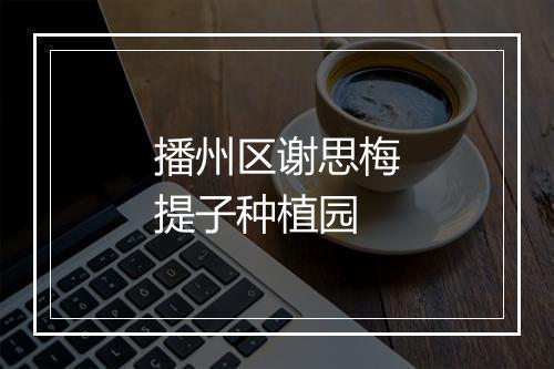 播州区谢思梅提子种植园
