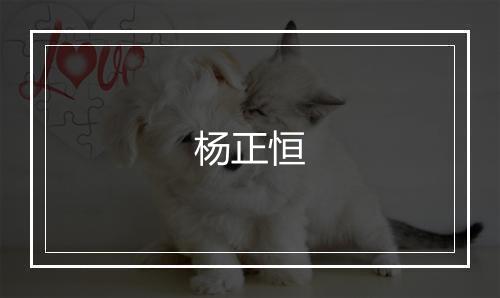 杨正恒