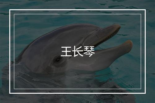 王长琴