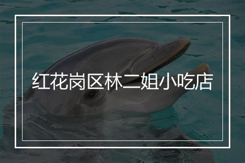 红花岗区林二姐小吃店