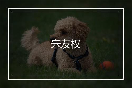 宋友权