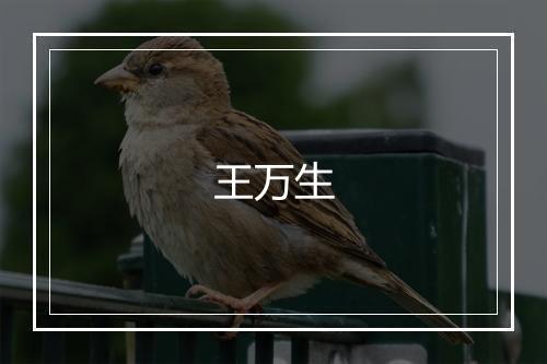 王万生