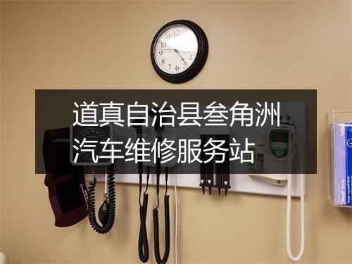 道真自治县叁角洲汽车维修服务站