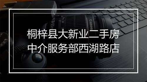 桐梓县大新业二手房中介服务部西湖路店