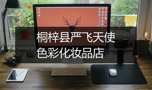 桐梓县严飞天使色彩化妆品店
