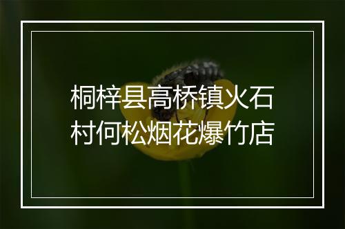 桐梓县高桥镇火石村何松烟花爆竹店