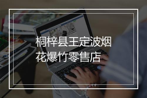 桐梓县王定波烟花爆竹零售店